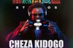 DJ MidTempo - Cheza Kidogo (ALBUM)