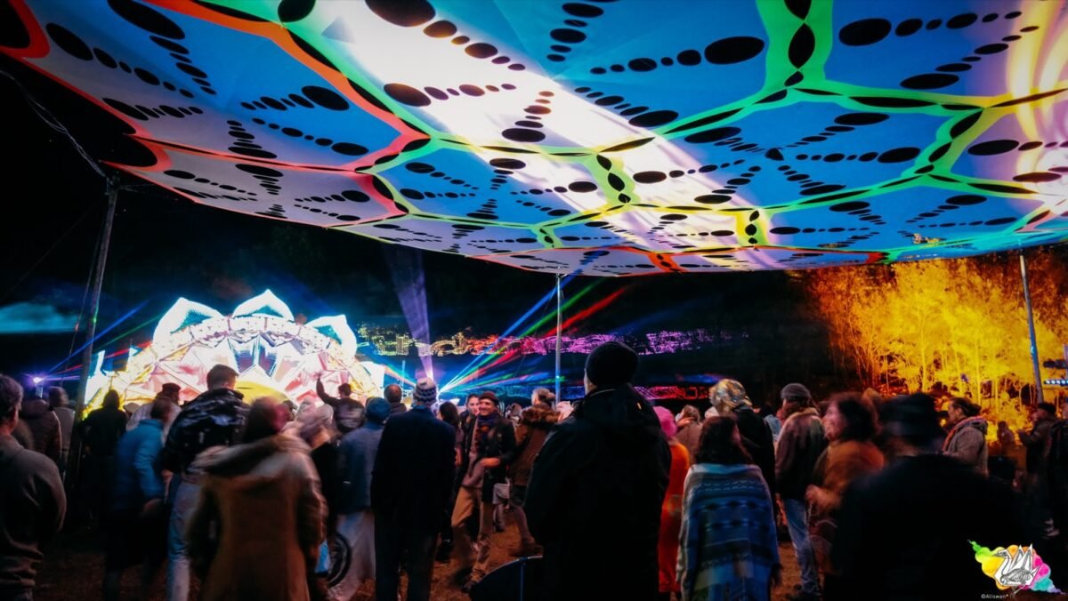 Book tickets for Earthdance Cape Town 2026: Dates, Location, Tickets & Everything You Need to Know