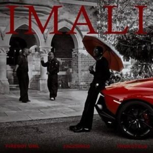 Fireboy DML ft JAZZWRLD & Thukuthela - IMALI