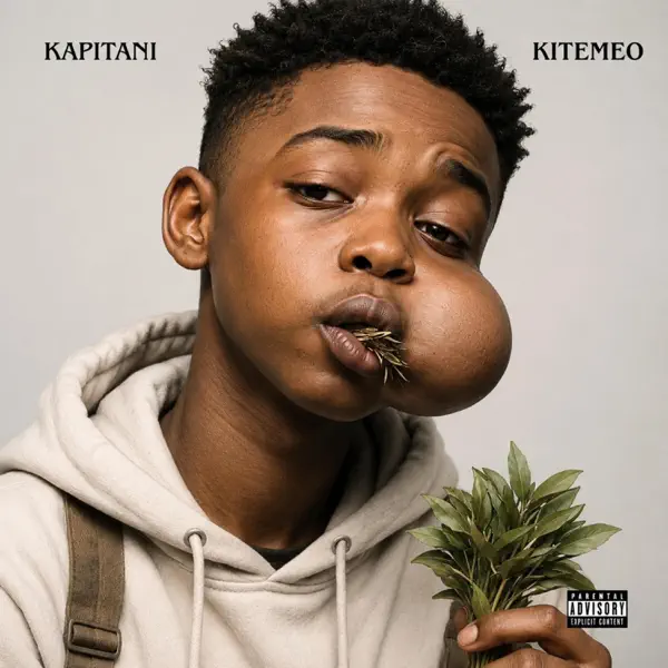 kitemeo-by-kapitani