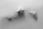 Yeat - COCOON